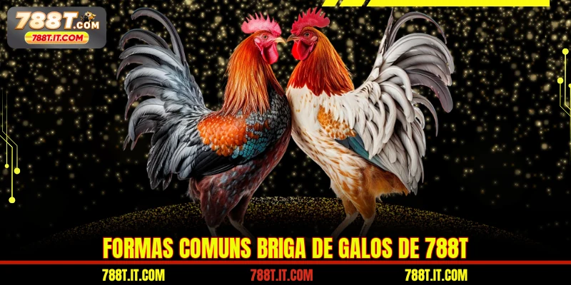 Formas comuns briga de galo de 788T